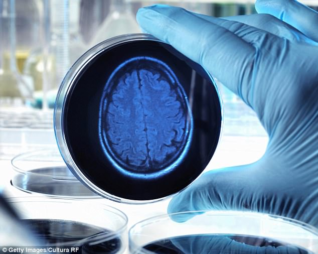 Nói chuyện được với người thực vật - Ảnh 2. Nói chuyện được với người thực vật - Ảnh 2.