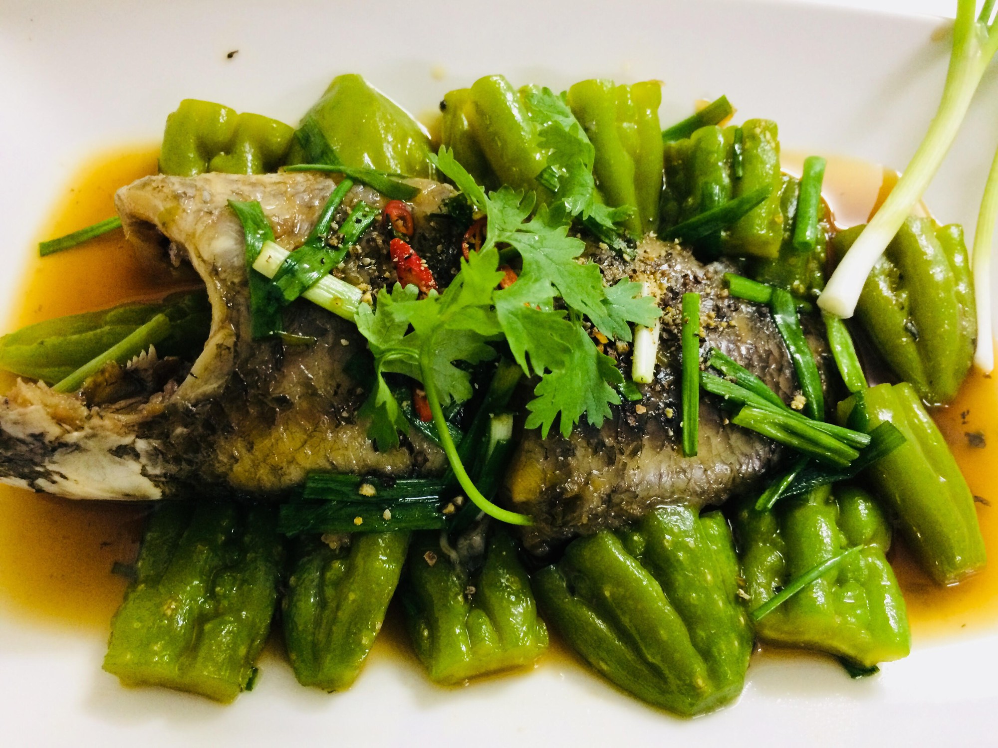 Cá rô mề kho khổ qua, dân dã mà ngon khó tả! - Ảnh 1. Cá rô mề kho khổ qua, dân dã mà ngon khó tả! - Ảnh 1.