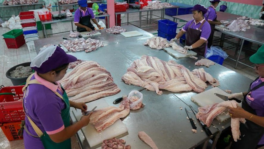 Vì sao thịt cá sấu “cháy hàng” ở Thái Lan? - Ảnh 10. Vì sao thịt cá sấu “cháy hàng” ở Thái Lan? - Ảnh 10.