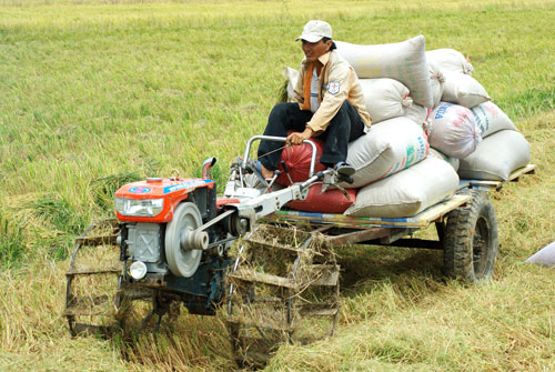 Nông dân hưởng lợi ít hơn nhiều khâu trung gian trong nông nghiệp Ảnh: Ngọc Trinh