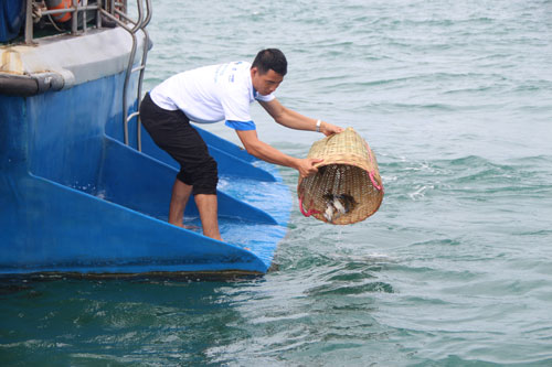 Ô nhiễm đe dọa Khu Bảo tồn biển Phú Quốc - Ảnh 1.