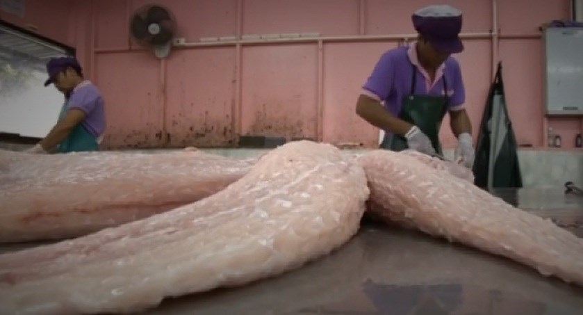 Vì sao thịt cá sấu “cháy hàng” ở Thái Lan? - Ảnh 12. Vì sao thịt cá sấu “cháy hàng” ở Thái Lan? - Ảnh 12.