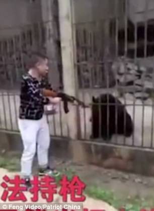 Du khách Trung Quốc giết gấu bằng súng máy - Ảnh 2.