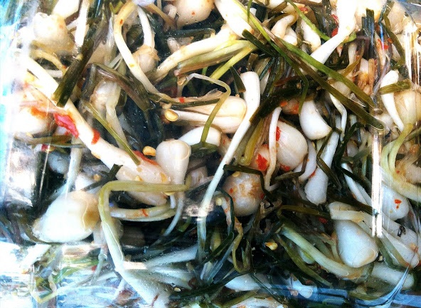 Ghiền gân kiệu xứ Huế hơn ghiền người yêu - Ảnh 3. Ghiền gân kiệu xứ Huế hơn ghiền người yêu - Ảnh 3.