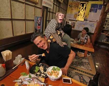 Quán bar Nhật Bản gây sốc với bồi bàn là khỉ - Ảnh 4.
