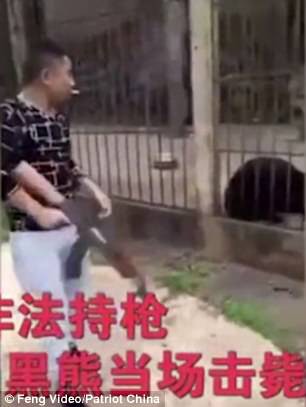 Du khách Trung Quốc giết gấu bằng súng máy - Ảnh 3.