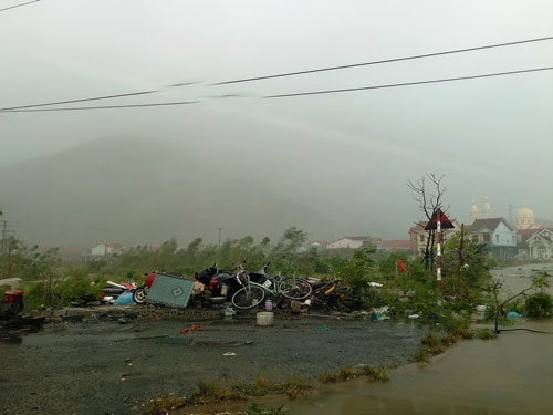 Tan hoang trong bão - Ảnh 1.