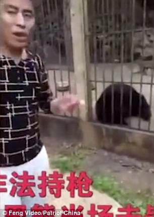 Du khách Trung Quốc giết gấu bằng súng máy - Ảnh 5.