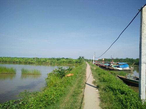 Nổ súng tranh chấp đầm nước ở Tiên Lãng - Ảnh 1.