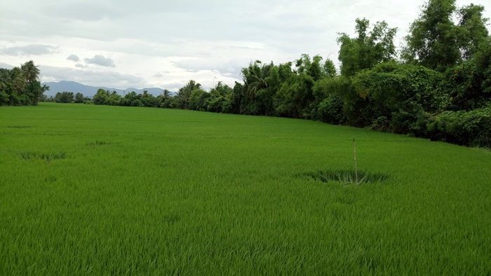 Sau loạt tiếng nổ khi máy bay bay ngang, nhiều nhà dân bị hỏng nặng - Ảnh 5. Sau loạt tiếng nổ khi máy bay bay ngang, nhiều nhà dân bị hỏng nặng - Ảnh 5.