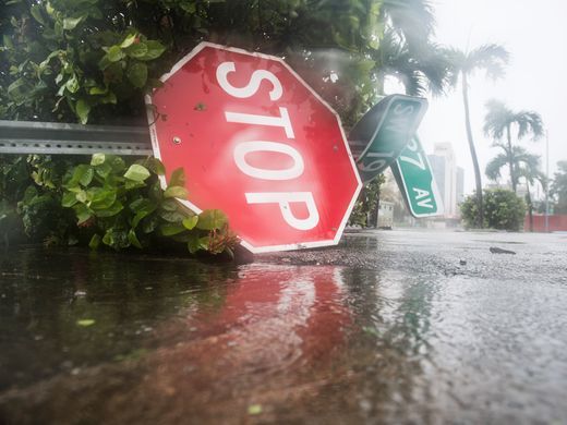 
Cây cối, biển báo ở Miami bị giật đổ. Ảnh: USA TODAY.
