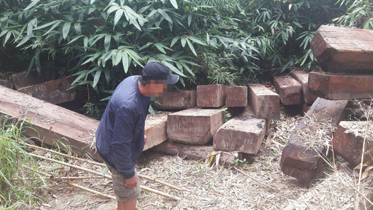 Khởi tố vụ gỗ vứt đầy đường biên ở Kon Tum - Ảnh 2.