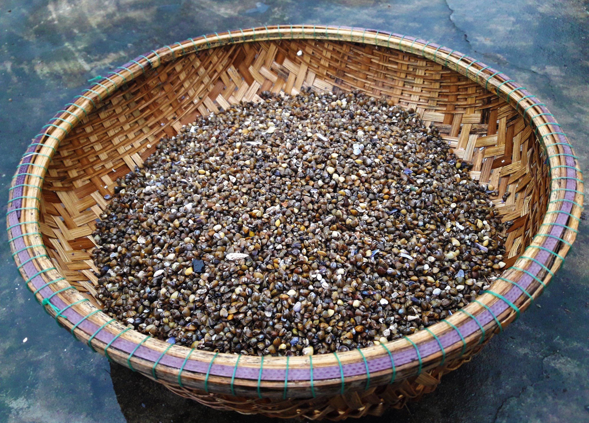 Bún chắt chắt – Món dân dã nhưng ngon đã đời - Ảnh 1. Bún chắt chắt – Món dân dã nhưng ngon đã đời - Ảnh 1.