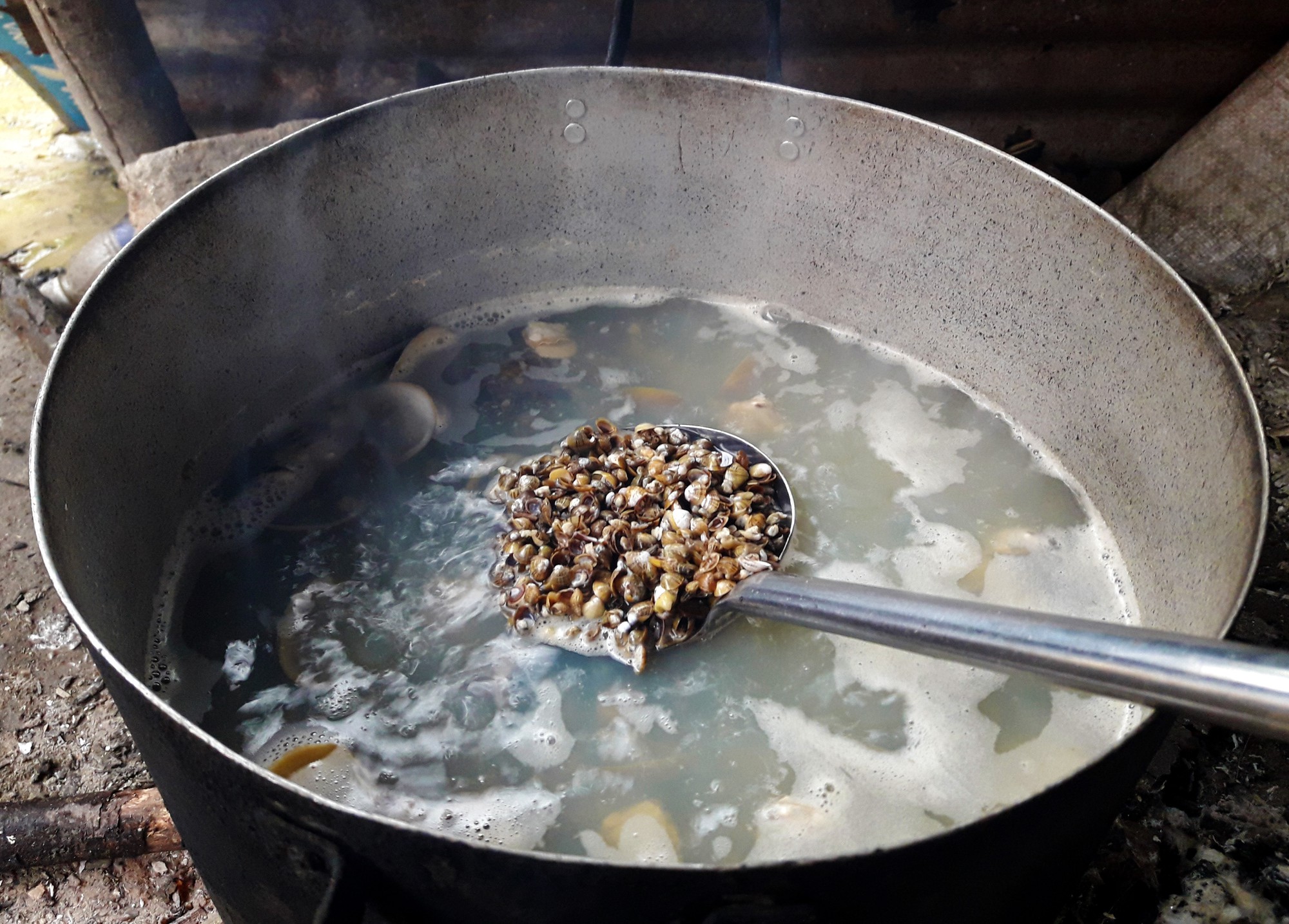 Bún chắt chắt – Món dân dã nhưng ngon đã đời - Ảnh 2. Bún chắt chắt – Món dân dã nhưng ngon đã đời - Ảnh 2.