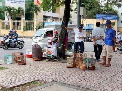 Nét quê độc đáo của khu chợ chuyên bán sâu bọ ở Sài Gòn - Ảnh 8.