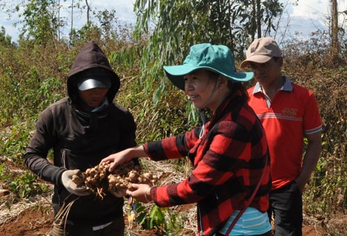 Khó khăn trăm bề! - Ảnh 1.