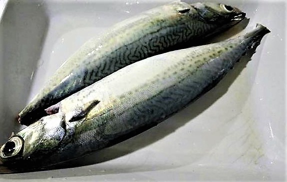 Mộc mạc canh cá nục bông nấu ngót - Ảnh 2.