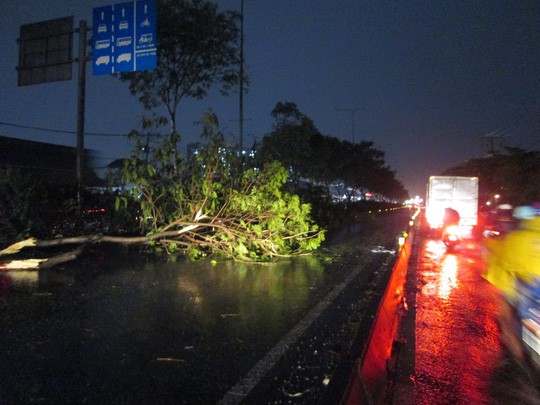 Bão số 14 gây mưa to gió lớn ở TP HCM - Ảnh 16.