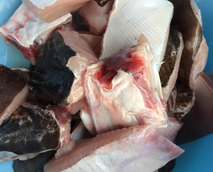  Cá đuối cắt miếng vừa ăn 