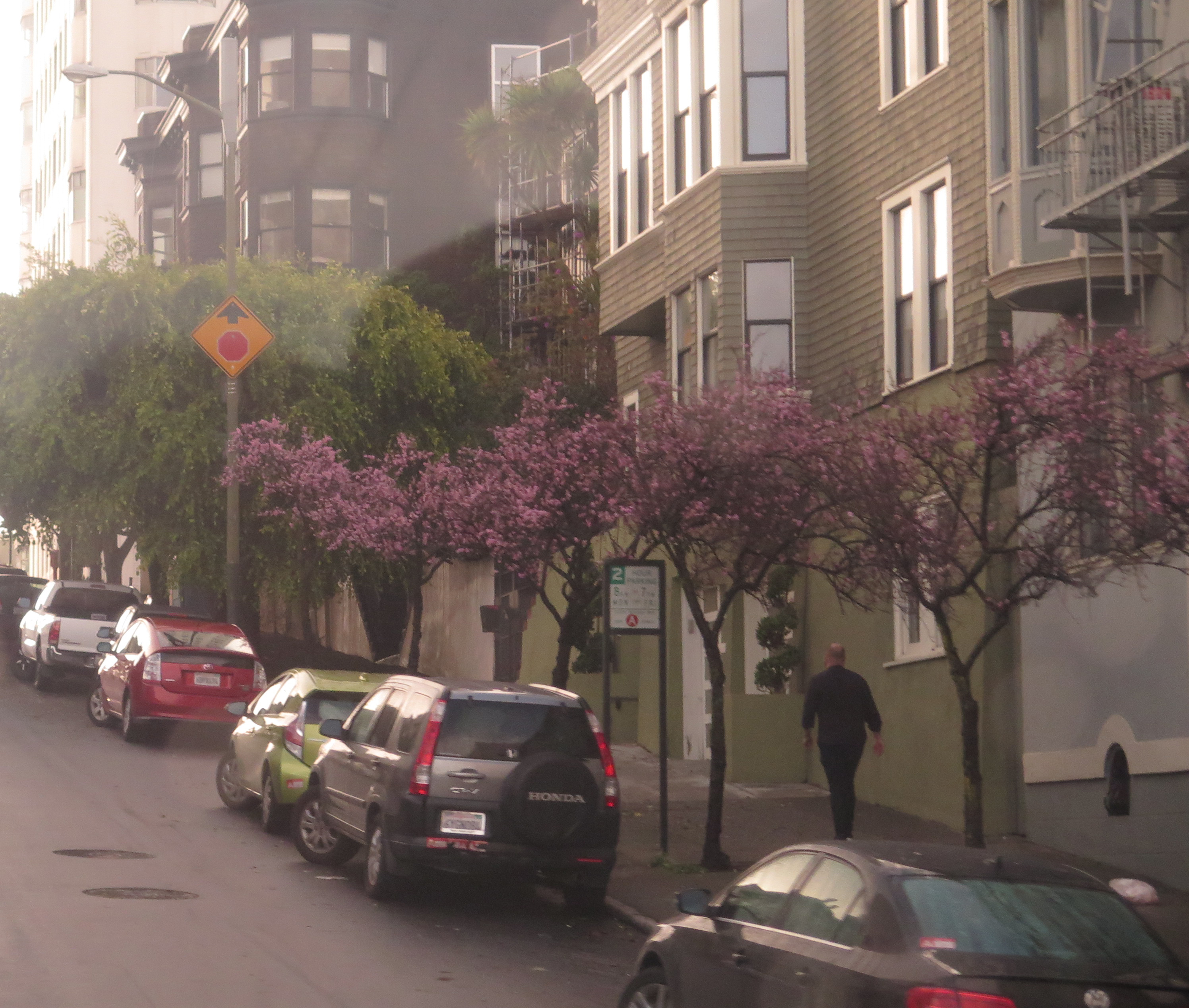 Hàng cây đào còn hoa hiếm hoi khi thời tiết se lạnh