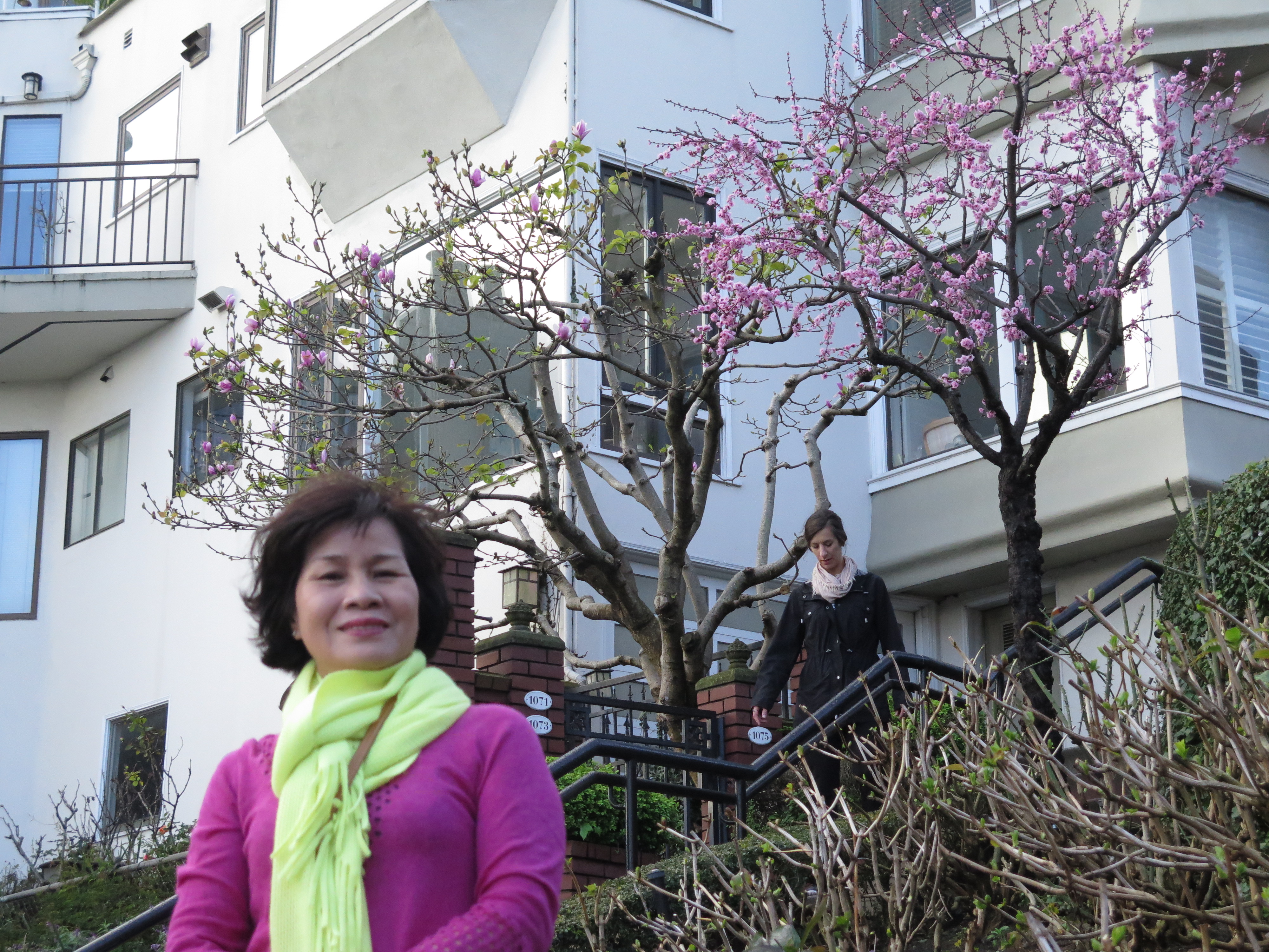 Hoa đào trở thành chủ lực cho những pô ảnh ở đường hoa Lombard. Ảnh: P.Nhi