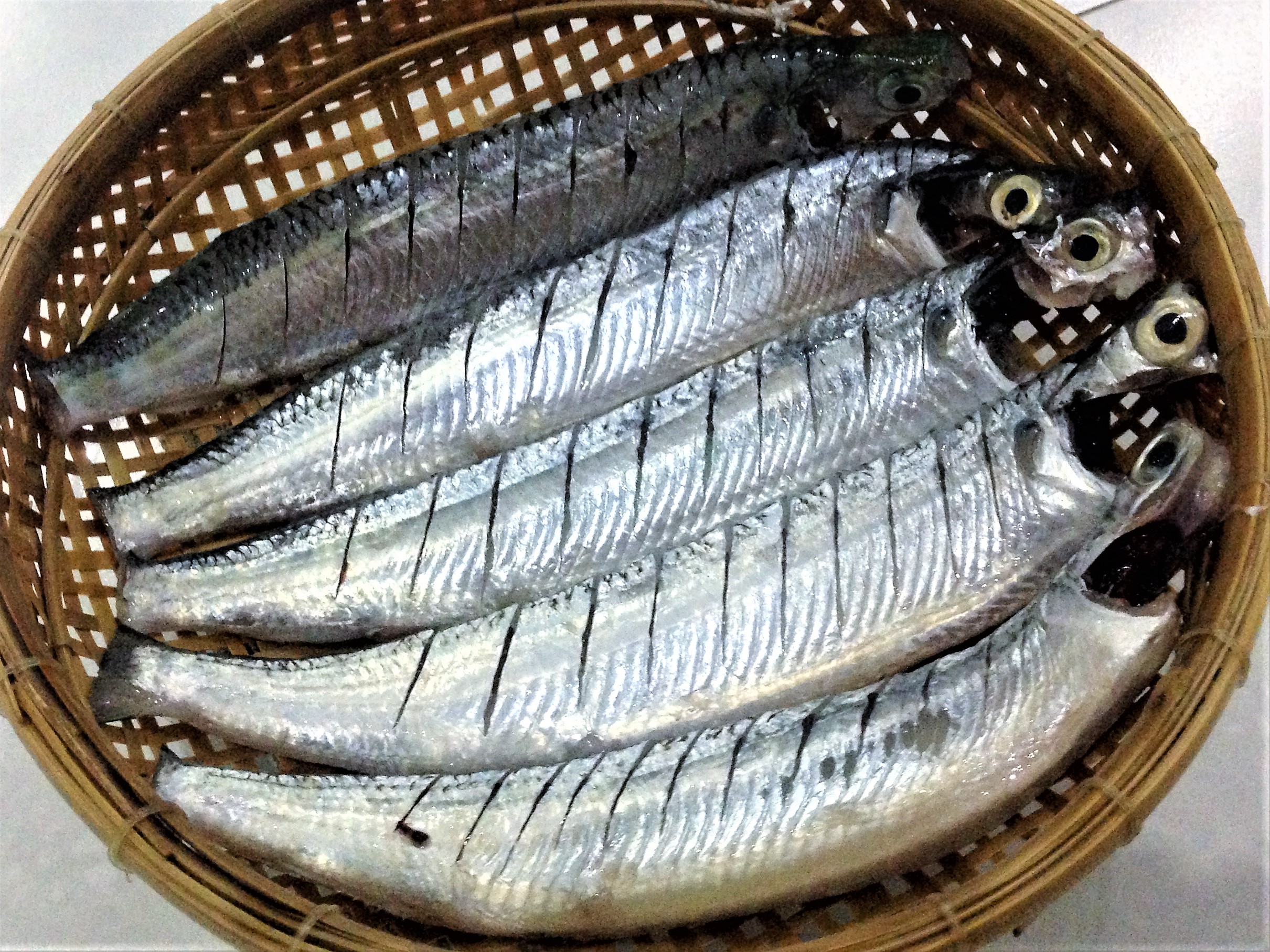 Lỡ mê con cá lìm kìm… - Ảnh 3.