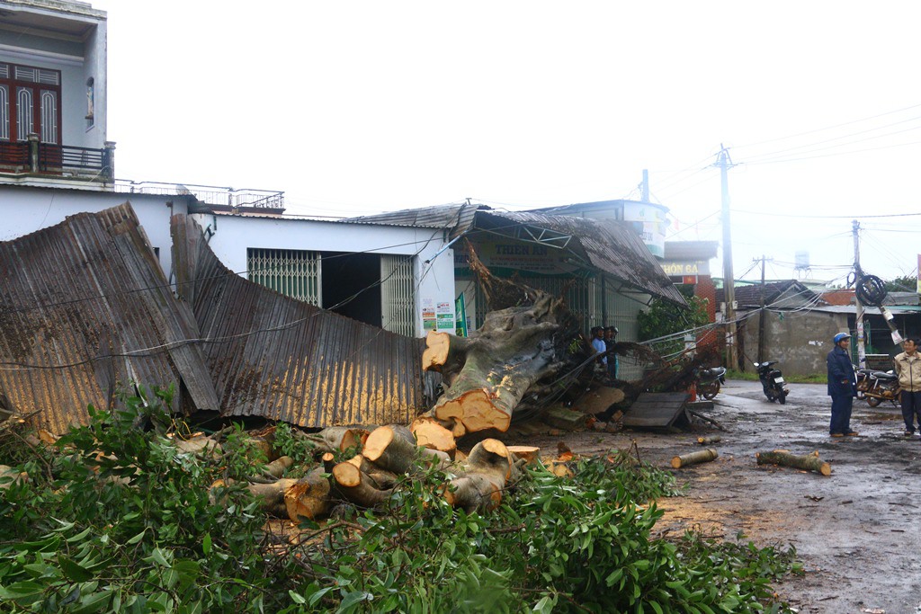 Cận cảnh Tây Nguyên tan hoang sau bão số 12 - Ảnh 13.