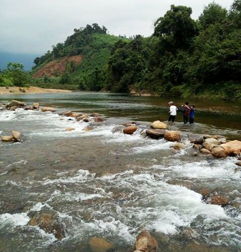 
Con suối nơi chị Võ Thị Huế bị nước cuốn trôi dẫn tới tử vong
