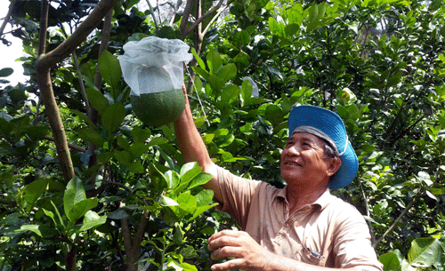 Lão nông ham sáng chế - Ảnh 1.