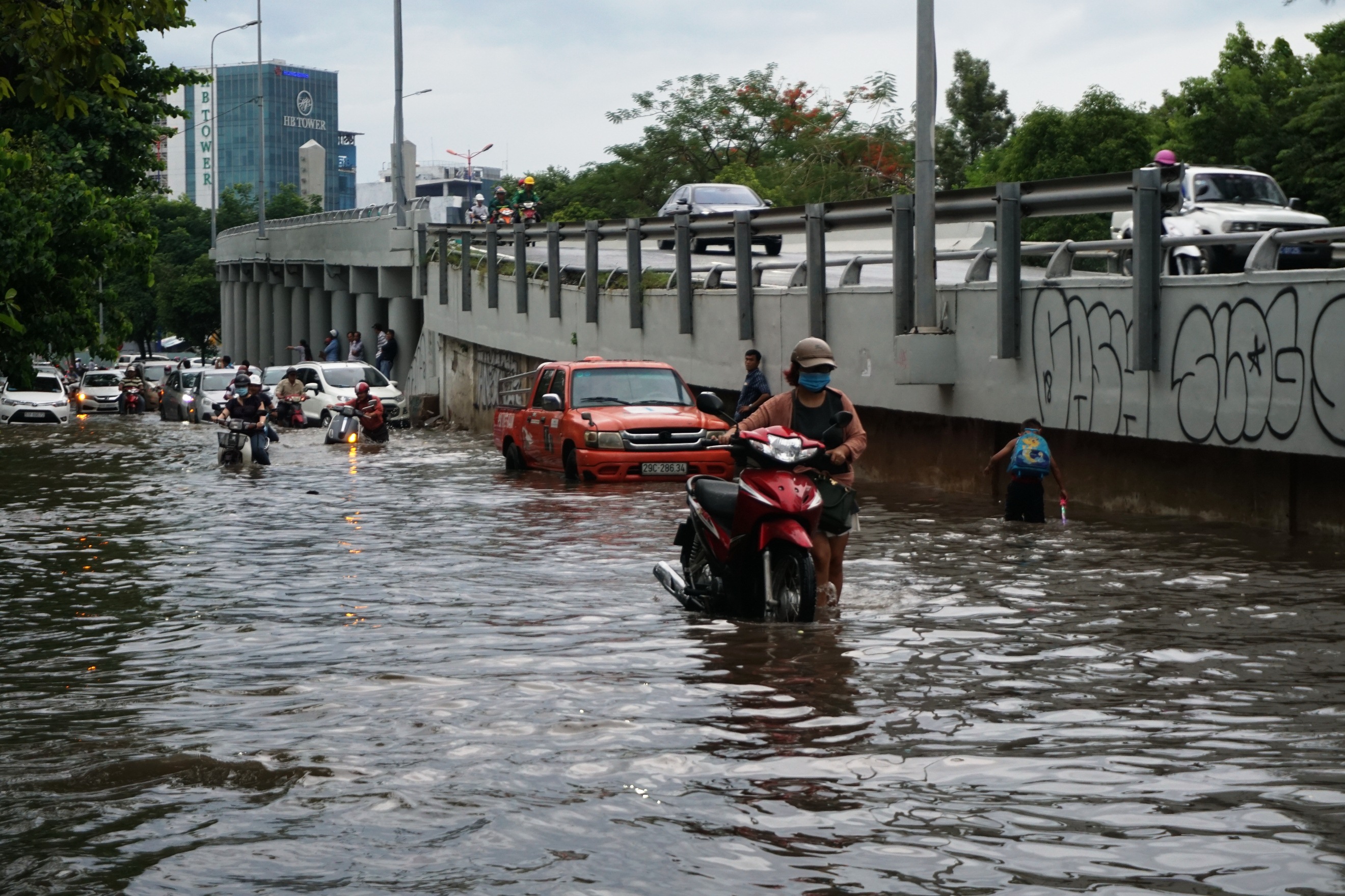 Cây đổ kéo gãy trụ điện, ngập nước gây náo loạn  - Ảnh 3.