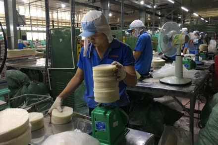 
Công ty Thuận Phong hiện có hơn 1.600 công nhân và đa số đều phải thuê nhà trọ để ở. Ảnh: CAO HÙNG
