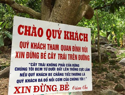 Người dân núi Bà Đen bức xúc vì du khách phá cây, hái trái - Ảnh 1.