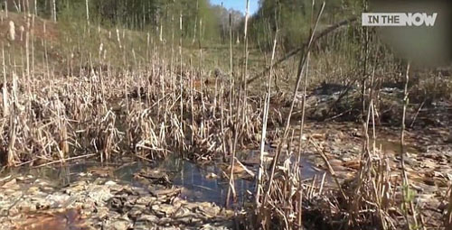 Đầm lầy chôn gần 20 triệu USD ở Nga - Ảnh 2.