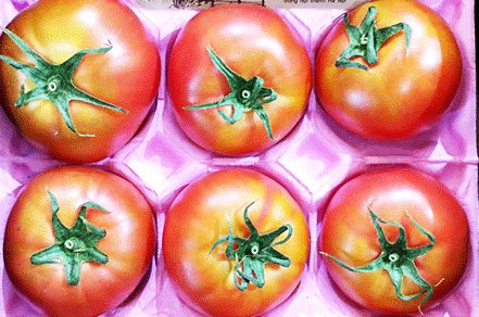 Cà chua Hoàng gia Nhật 1,6 triệu đồng/kg - Ảnh 2.