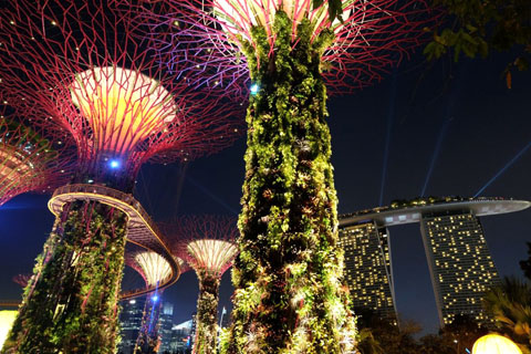 Gardens by the Bay - Thế giới diệu kỳ ở Singapore  - Ảnh 1.