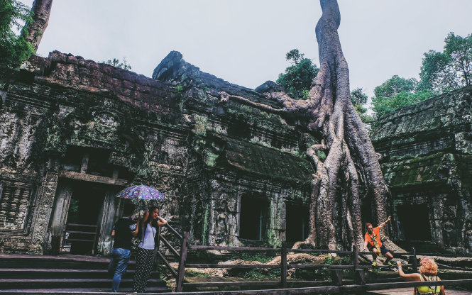 Ta Prohm - ngôi đền của những rễ cây kỳ dị - Ảnh 1. Ta Prohm - ngôi đền của những rễ cây kỳ dị - Ảnh 1.