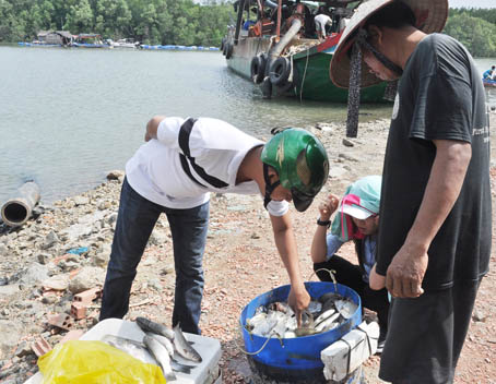 Sớm mai ghé thăm bến cá vùng nước lợ - Ảnh 1.