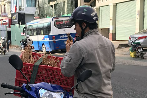 Sơn nhân và những cuộc săn lộc rừng - Ảnh 1.