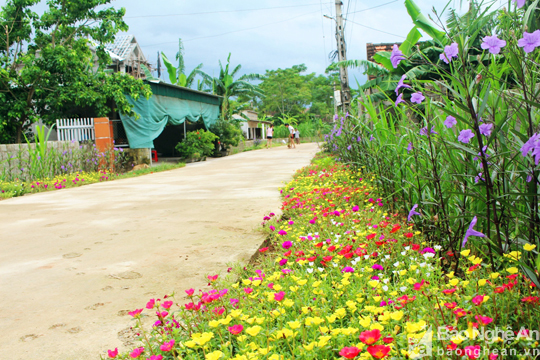 Đẹp ngỡ ngàng con đường hoa ở miền quê Nghệ An - Ảnh 1.