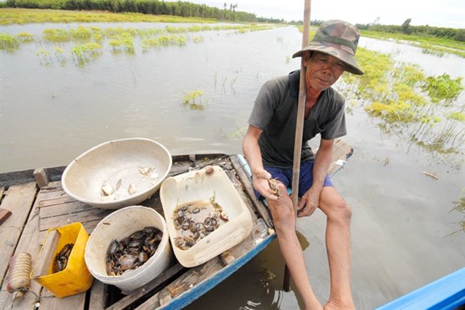 Sướng với mùa nước nổi đang về miền Tây - Ảnh 1. Sướng với mùa nước nổi đang về miền Tây - Ảnh 1.