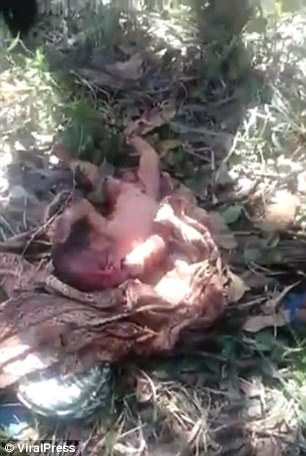 Indonesia: Cứu sống bé sơ sinh bị bỏ dưới hố rác - Ảnh 1.