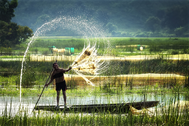 Ngao du toàn cảnh đời sống miền Tây mùa nước nổi - Ảnh 1. Ngao du toàn cảnh đời sống miền Tây mùa nước nổi - Ảnh 1.
