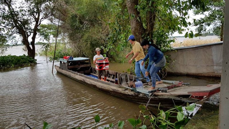 Sướng gì bằng ăn cá linh ngay đồng nước nổi - Ảnh 2. Sướng gì bằng ăn cá linh ngay đồng nước nổi - Ảnh 2.