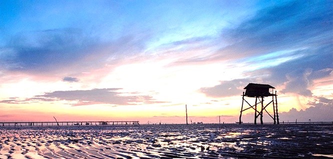 Sớm mai ghé bến cá Đèn Đỏ, kiếm cá độc ăn chơi - Ảnh 2. Sớm mai ghé bến cá Đèn Đỏ, kiếm cá độc ăn chơi - Ảnh 2.