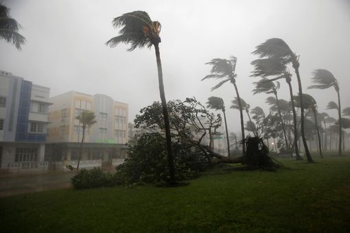 Bão Irma đổ bộ vào bang Florida - Ảnh 1.