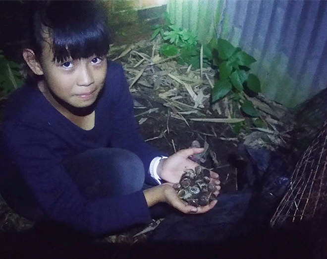 Thích gì bằng trời tối leo núi Cấm săn ốc núi - Ảnh 1. Thích gì bằng trời tối leo núi Cấm săn ốc núi - Ảnh 1.