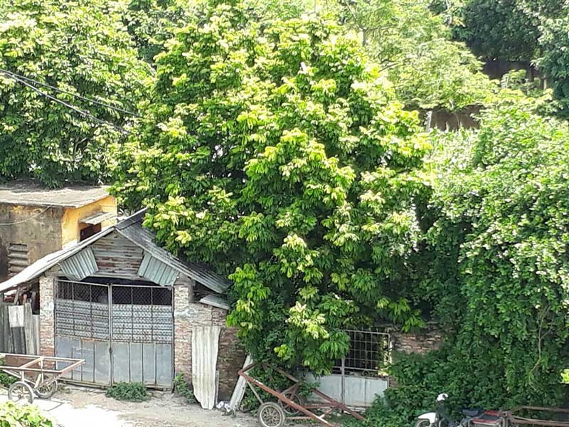 C&aacute;n bộ th&ocirc;n l&agrave; người c&oacute; chức vụ, quyền hạn? - Ảnh 1.