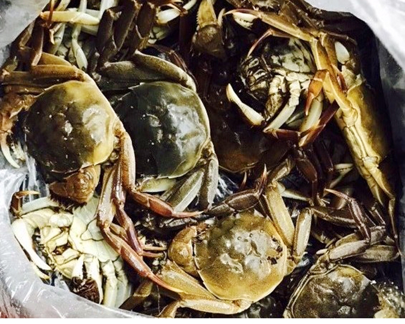 Độc đáo lẩu cà ra xứ Đông Triều - Ảnh 1. Độc đáo lẩu cà ra xứ Đông Triều - Ảnh 1.