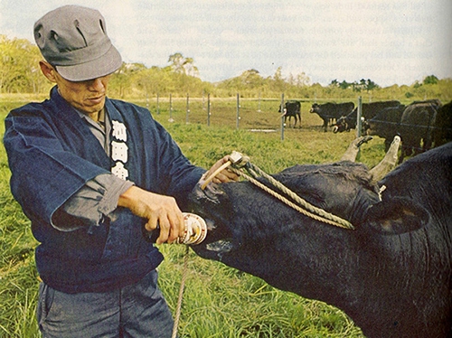 Loại thịt bò đắt hơn cả bò Kobe có mặt tại Sài Gòn - Ảnh 1.
