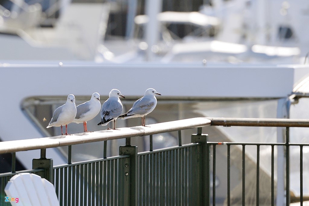 Một ngày ở thành phố đáng sống thứ 3 thế giới